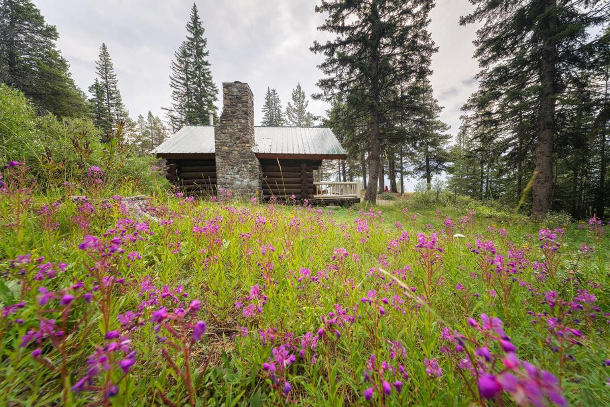 Storm Mountain Lodge & Cabins Castle Junction Dış mekan fotoğraf
