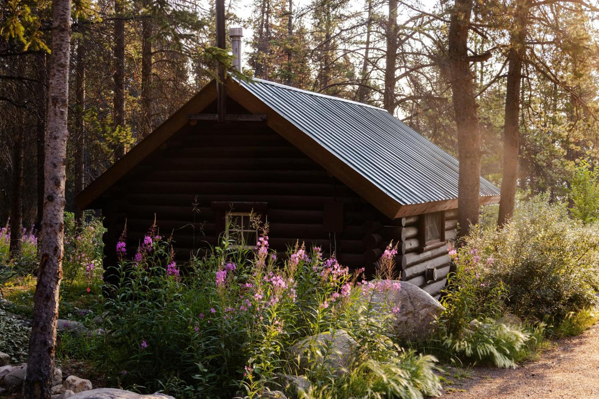 Storm Mountain Lodge & Cabins Castle Junction Dış mekan fotoğraf